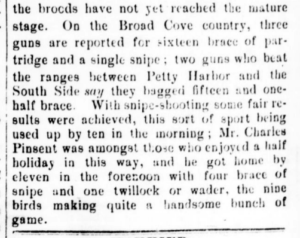 Excerpt from a newspaper. Reads: On the bBroad Cove country, three guns are reported for sixteen race of partridge and a single snipe; two guns who beat the ranges between Petty Harbor and the South Side say they bagged fifteen and one-half brace. With snipe-shooting some fare results were achieved, this sort of sport being used up by ten in the morning; Mr. Charles Pinsent was amongst those who enjoyed a half holiday in this way, and he got home by eleven in the foresoon with four brace of snipe and one twillock or wader, the nine birds making quite a handsome bunch of game.