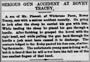 News excerpt describing the gun accident. The boy grabbed the barrel with his right hand and it accidently discharged.