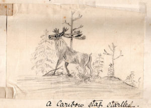 A child's drawing of a stag in a forest
