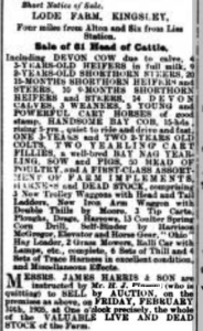 Notice of the sale of many cows, heifers, and steers.