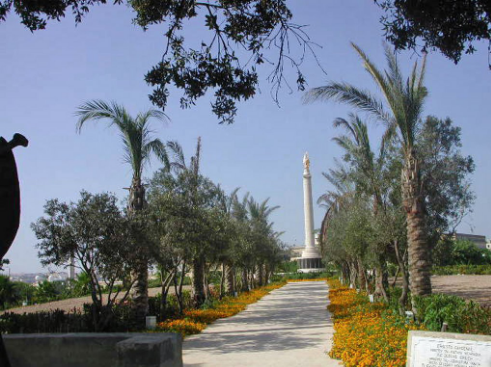 A pathway lined with palm trees. At the end stands a handsome white column.
