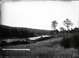 A damaged black and white photograph of a river curving around a forest of trees, with grassy hills in the foreground.