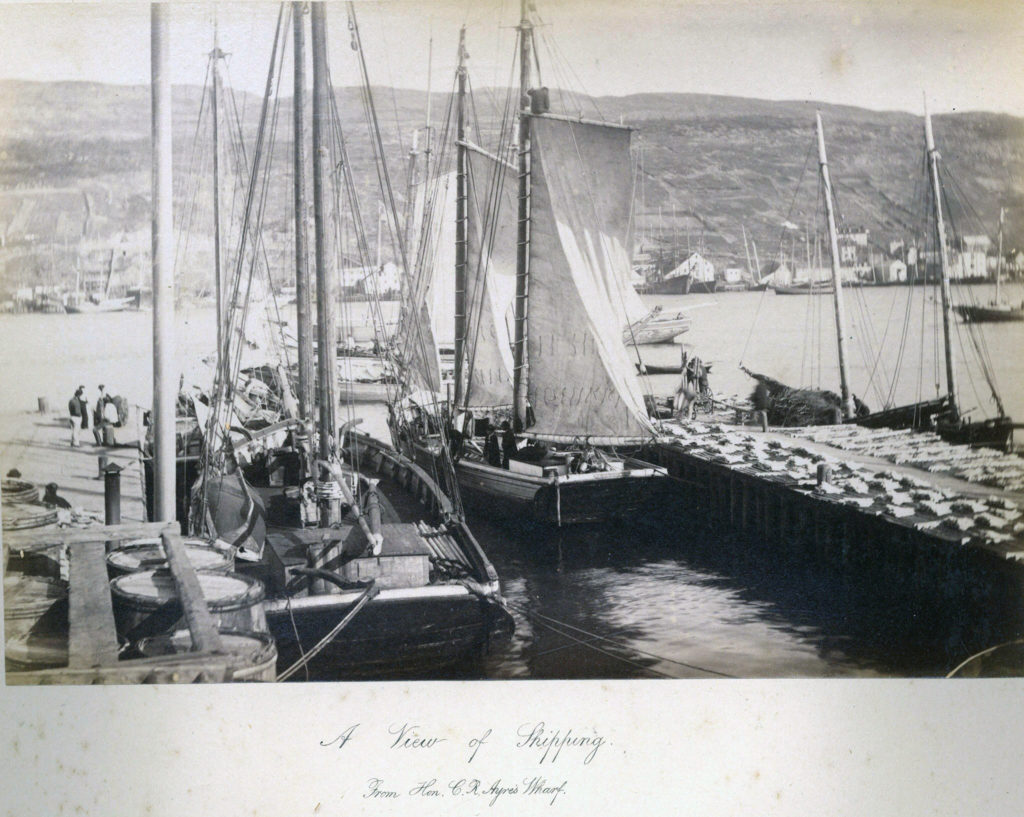 Black and white photograph of sailboats docked in a harbour.