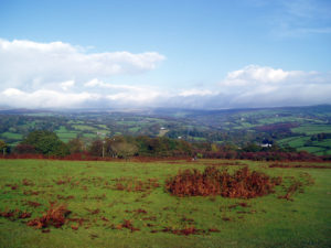 Rolling fields and a blue sky.