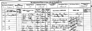 Excerpt of a census record showing Ferdinand as the rector at Bawdeswell Church in 1881.