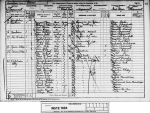 A handwritten census record.