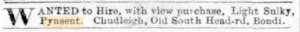 News clipping that reads "Wanted to hire, with view to purchase, Light Sulky, Pynsent, Chudleigh, Old South Head-rd, Bondi.