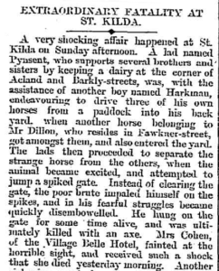 News clipping describing the death of the horse. Pynsent and another boy were trying to drive three horses into their backyard, when another horse got amongst them and panicked, impaling itself on the spikes.