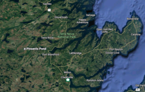 Map of the terrain of Newfoundland focusing on Terra Nova National Park. Pinsents Pond is to the west of the park.