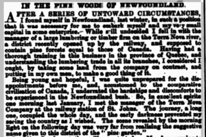 Excerpt from a newspaper detailing Robert's experiences in Newfoundland.