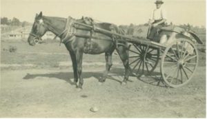 A black and white photograph of a man as he sits on a wooden cart secured to an attractive brown horse. He wears a white shirt, dark trousers, a hat, and stares at the camera.
