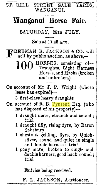 News clipping describing R. B. Pynsent's sale of four horses--a draught mare, a draught filly, a chestnut golding, and a pony mare.