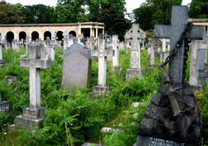 Graveyard of stone crosses and slabs. Bright green ferns cover the ground.